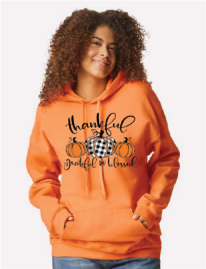 Minnesota is Home Softstyle® Midweight Hooded Sweatshirt (Grateful/Blessed)